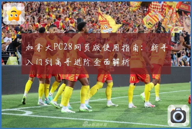 加拿大PC28网页版使用指南：新手入门到高手进阶全面解析