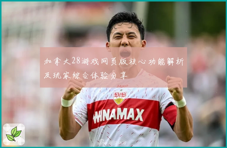 加拿大28游戏网页版核心功能解析及玩家综合体验分享