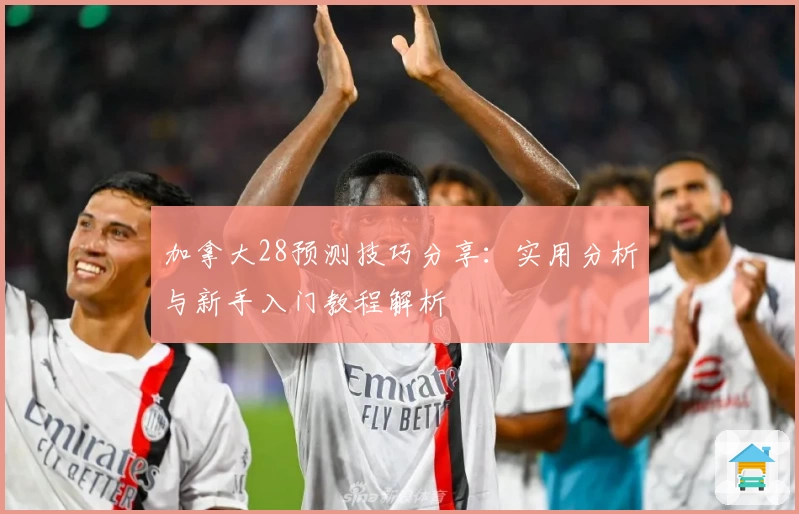 加拿大28预测技巧分享：实用分析与新手入门教程解析