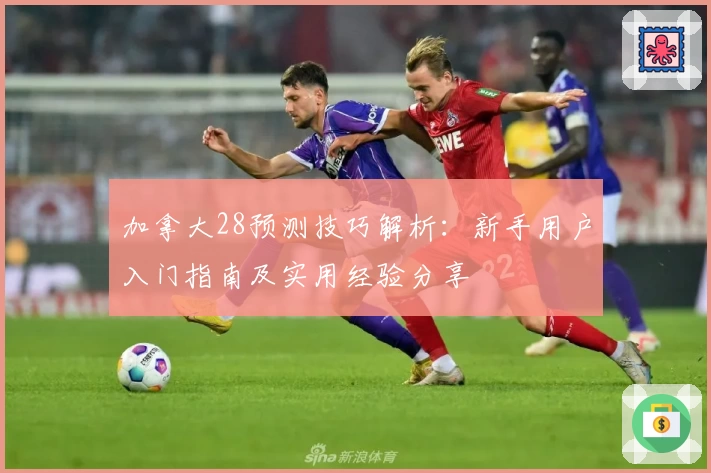 加拿大28预测技巧解析：新手用户入门指南及实用经验分享