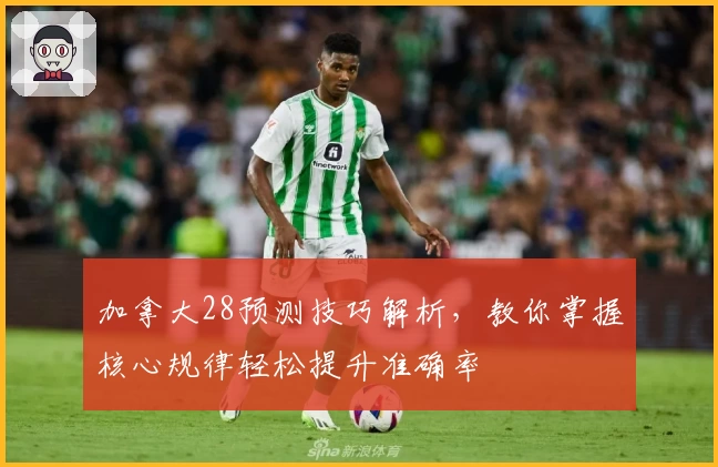 加拿大28预测技巧解析，教你掌握核心规律轻松提升准确率