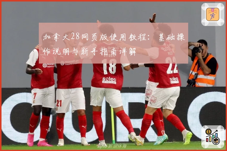 加拿大28网页版使用教程：基础操作说明与新手指南详解