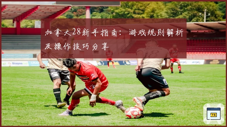 加拿大28新手指南：游戏规则解析及操作技巧分享