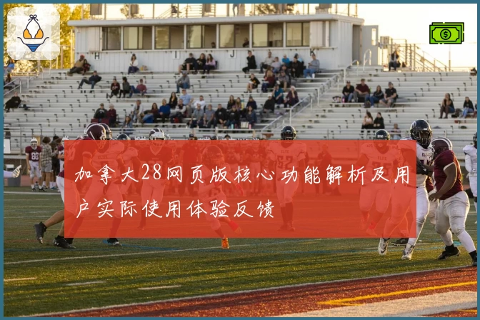 加拿大28网页版核心功能解析及用户实际使用体验反馈