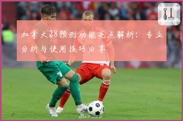 加拿大28预测功能亮点解析：专业分析与使用技巧分享