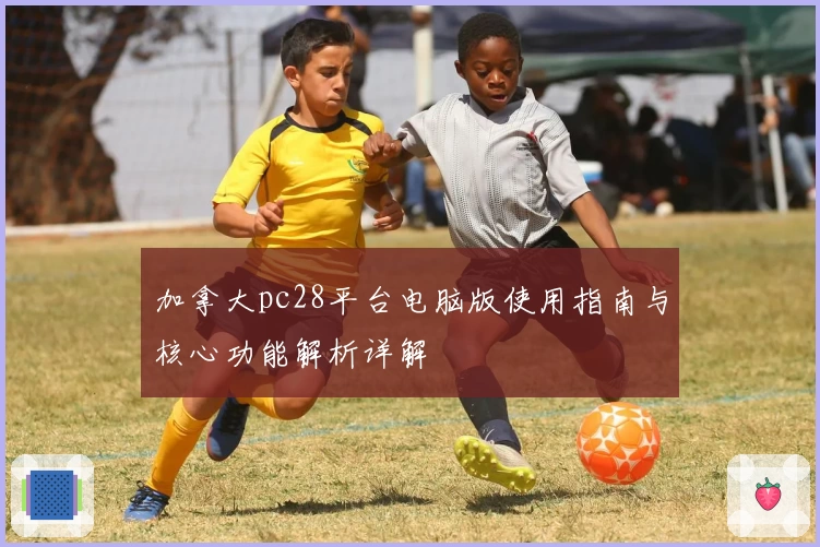 加拿大pc28平台电脑版使用指南与核心功能解析详解