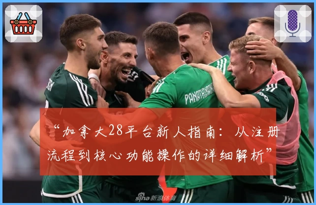 “加拿大28平台新人指南：从注册流程到核心功能操作的详细解析”